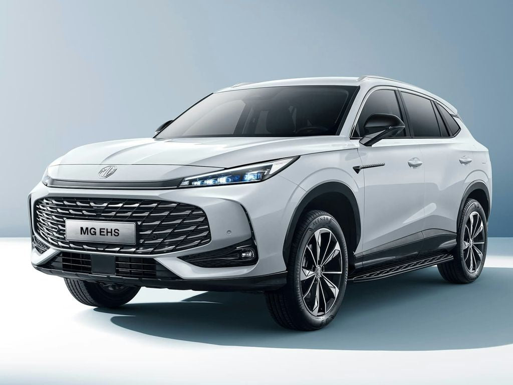 MG EHS (Ph. 2)